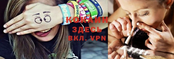 шишки Верея