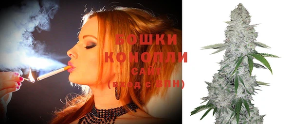 шишки Верея