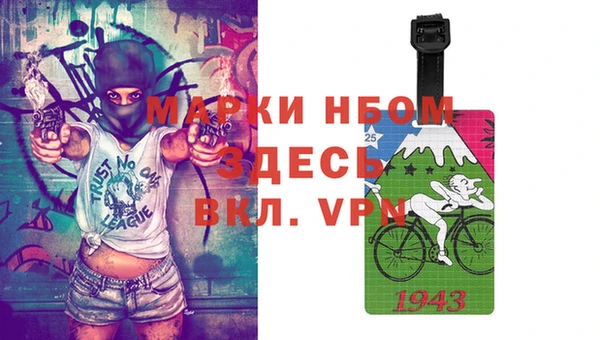 шишки Верея