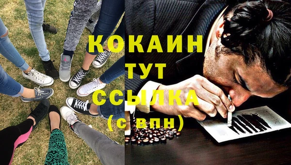 ПСИЛОЦИБИНОВЫЕ ГРИБЫ Верхний Тагил