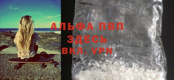 ПСИЛОЦИБИНОВЫЕ ГРИБЫ Верхний Тагил
