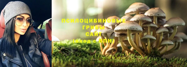 ПСИЛОЦИБИНОВЫЕ ГРИБЫ Верхний Тагил