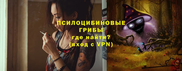 ПСИЛОЦИБИНОВЫЕ ГРИБЫ Верхний Тагил