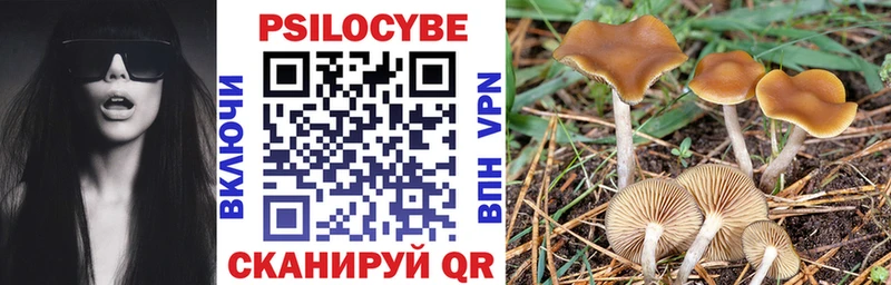 Галлюциногенные грибы GOLDEN TEACHER  как найти закладки  Высоцк 